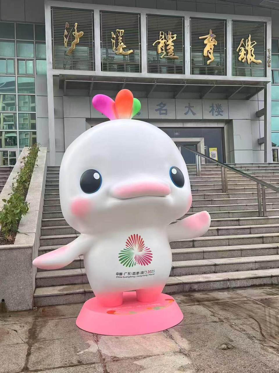 十五运会和, 湃热情